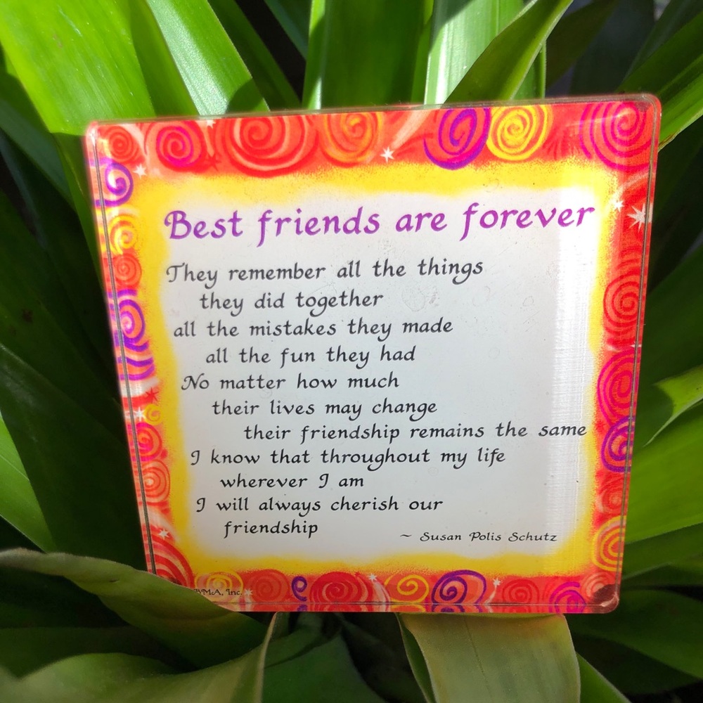 New! Best Friends Are Forever Magnet